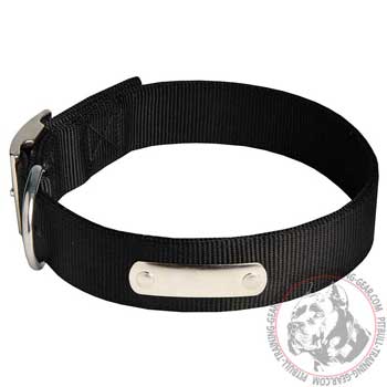High Quality Training Nylon Pitbull Collar 