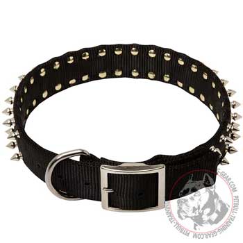 Nylon Pitbull Collar for Walking with Strong Nickel Buckle
