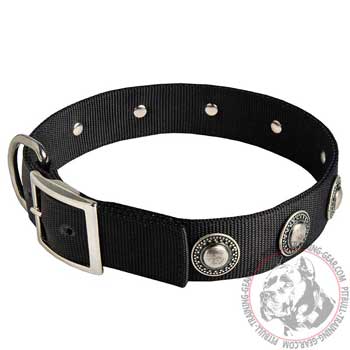 Custom Walking Nylon Dog Collar for Pitbull with Durable Buckle