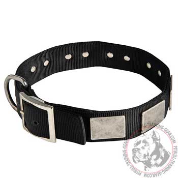 Nylon Dog Collar for Pitbull with Strong Hardware