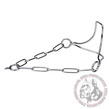 Pit Bull Collar with Stainless Steel Fur Saving Links