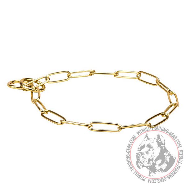 Pit Bull Choke Chain Collar for Behavior Correction