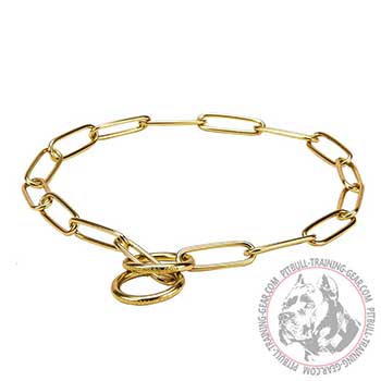 Pit Bull Brass Choke Collar with Attachment Ring
