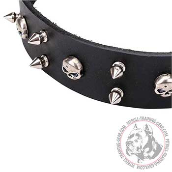 Pitbull Black Leather Dog Collar with Skulls and Studs