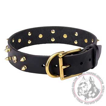 Pit Bull Leather Collar with Brass Buckle