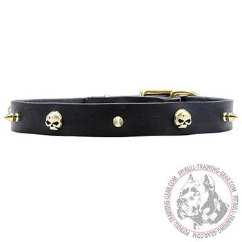 Pit Bull Leather Collar with Brass Skulls and Spikes