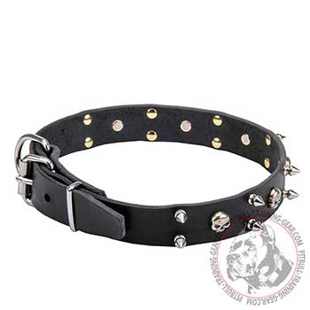 Decorated Dog Leather Collar for Pitbull Walking