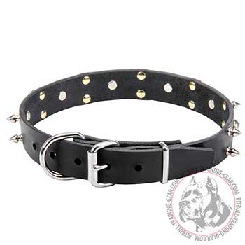 Leather Pitbull Dog Collar with Steel Buckle