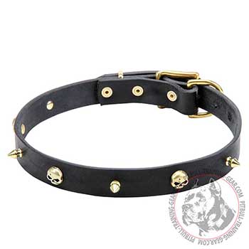 Pit Bull Leather Collar for Dog Walking