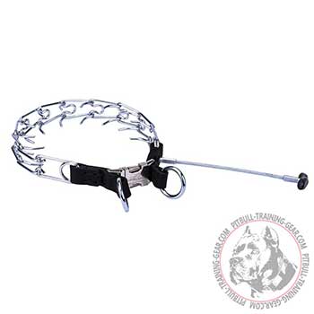 Pit Bull Steel Pinch Collar with Removable Handle