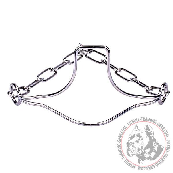 Pit Bull Dog Show Collar with Head Support