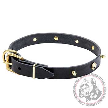 Pit Bull Leather Collar with Brass End-Fixator