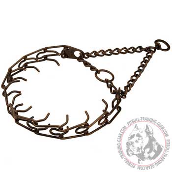 Antique Copper Plated Stylish Pitbull Pinch Collar