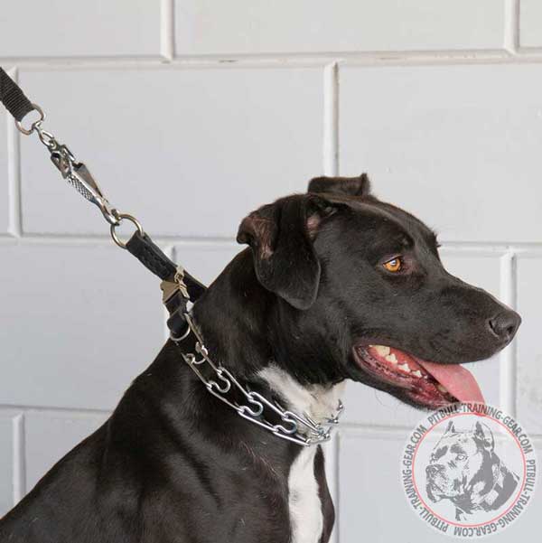 Chrome Plated Dog Pinch Collar for Pitbull with O-Ring