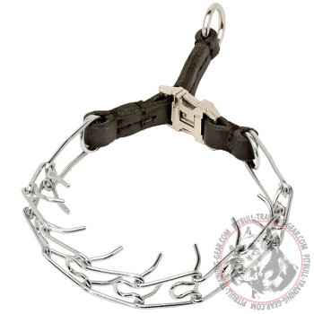  Chrome Plated Steel Pitbull Pinch Collar with Durable Buckle