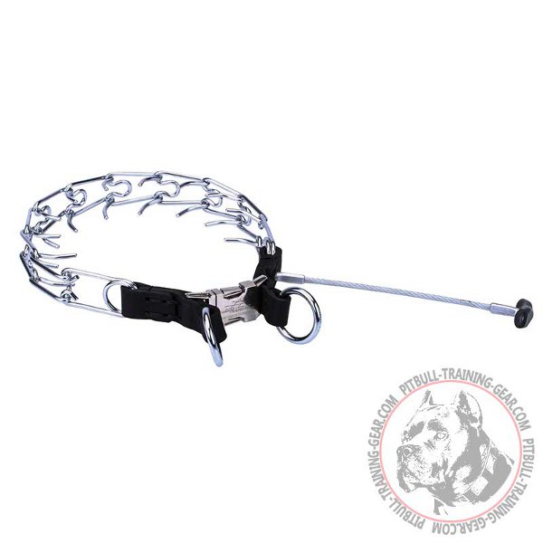 Steel Chrome Plated Pitbull Prong Collar with Removable Handle