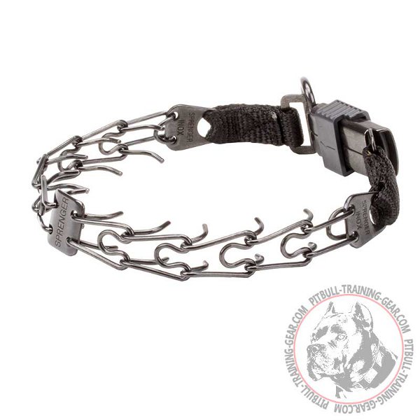 Pit Bull Prong Collar for Dog Behavior Improvement