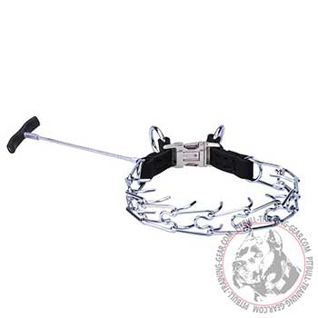 Pit Bull Steel Prong Collar for Obedience Training