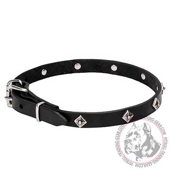 Leather Dog Collar, narrow 3/4 inch leather strap