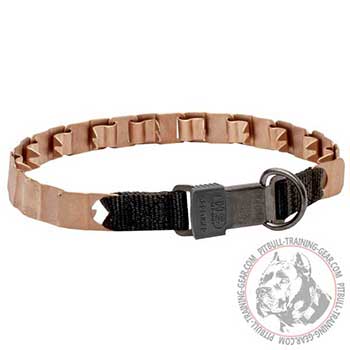 Pitbull training dog neck tech collar with click-lock buckle