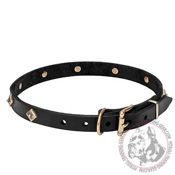 Leather Dog Collar, back view