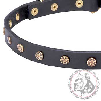 Reliable leather Pitbull dog collar