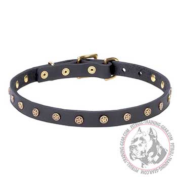 Thin Leather Pitbull Dog Collar