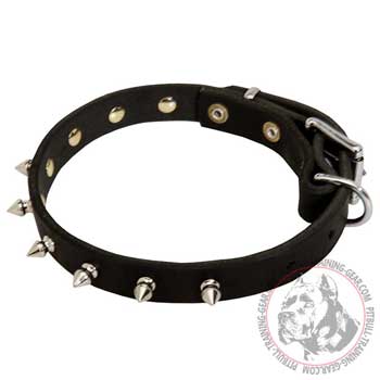 Fashion leather Pitbull collar for dog walking