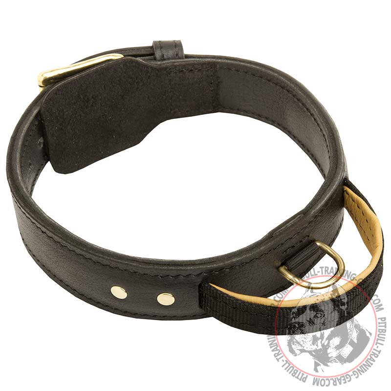 Get 2ply Leather Pitbull Collar with Handle | Dog Training ...