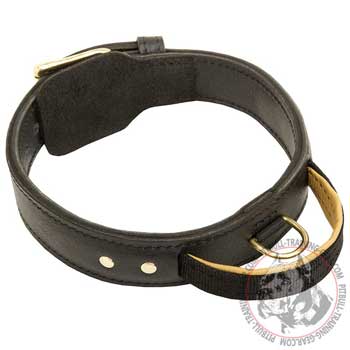 Pitbull collar with handle extra strong training