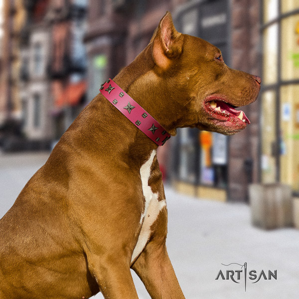 Pitbull basic training full grain leather collar for your impressive pet
