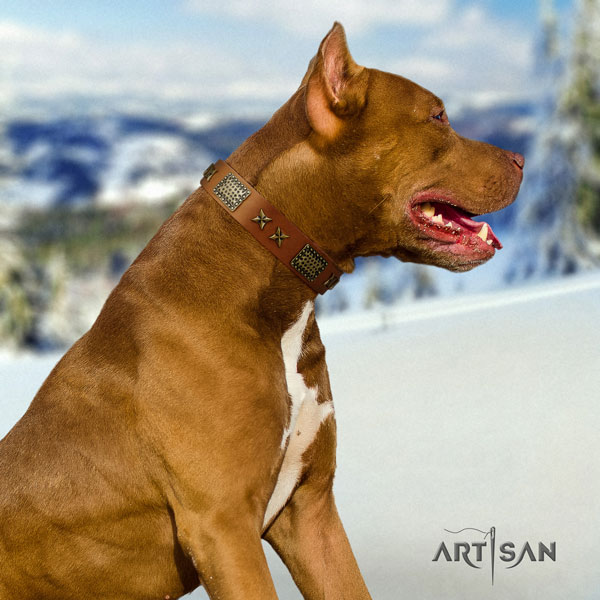 Pitbull fine quality natural genuine leather dog collar with amazing studs