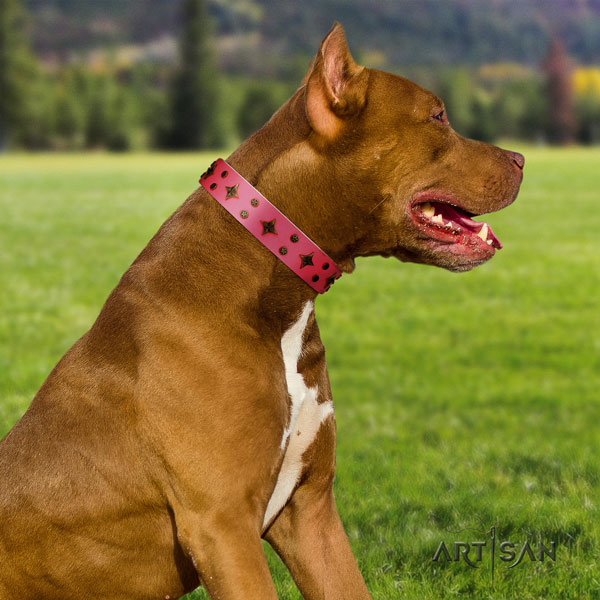 Pitbull top quality genuine leather dog collar with incredible studs