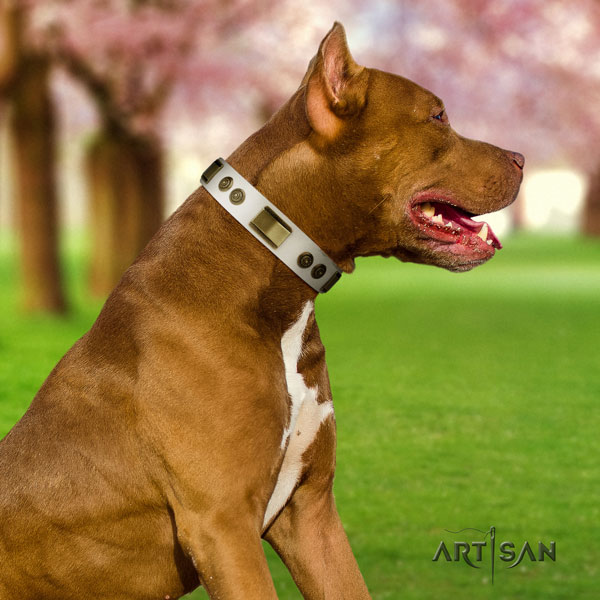 Pitbull convenient full grain genuine leather dog collar with stylish decorations
