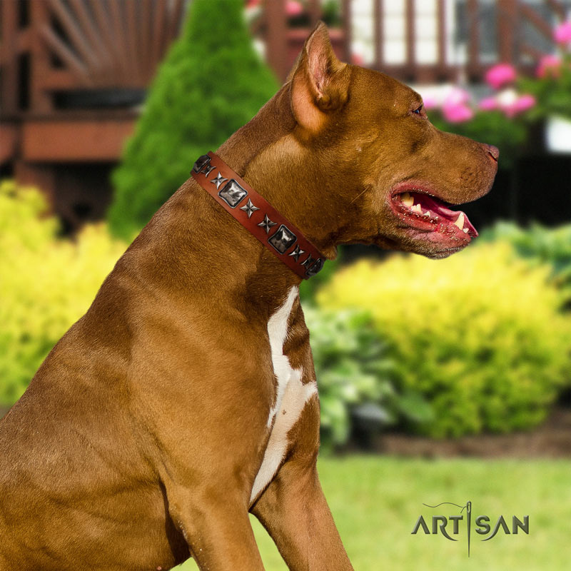 Glamour Finery FDT Artisan Female Pitbull collar of natural leather with stylish old looking circles Dog Gear Pitbull Muzzles Harnesses Collars Leashes Toys Bite Sleeve American Pit Bull Terrier Store