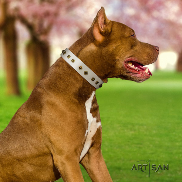 Pitbull adjustable genuine leather dog collar with stylish design decorations