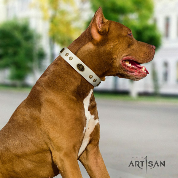 Pitbull easy adjustable natural genuine leather dog collar with unusual embellishments