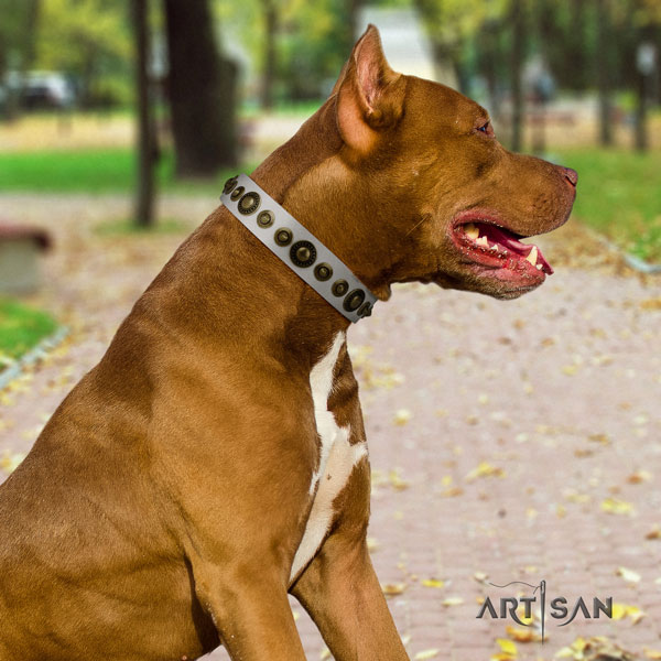 Pitbull comfortable genuine leather dog collar with stylish studs