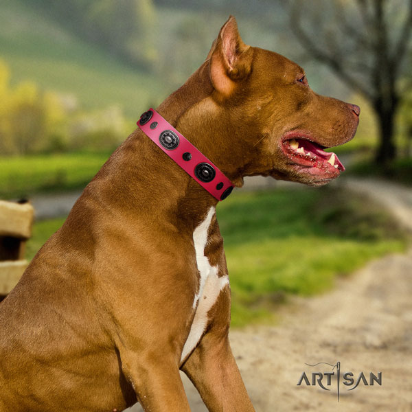 Pitbull perfect fit natural genuine leather dog collar with significant decorations