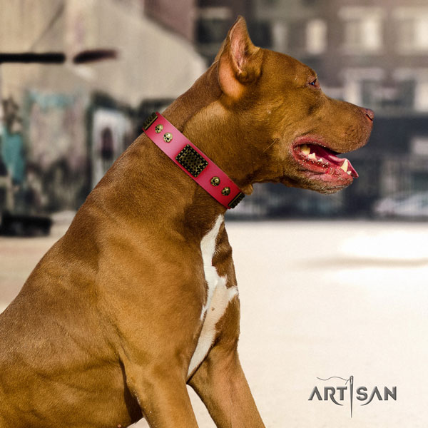 Pitbull easy wearing natural genuine leather dog collar with significant adornments