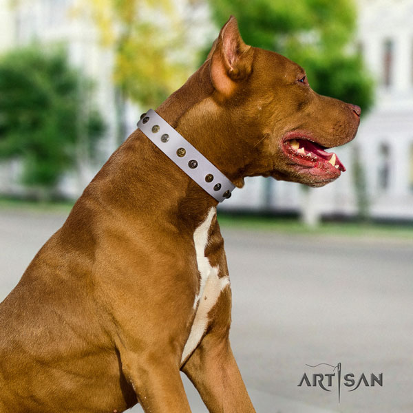 Pitbull easy adjustable genuine leather dog collar with awesome decorations