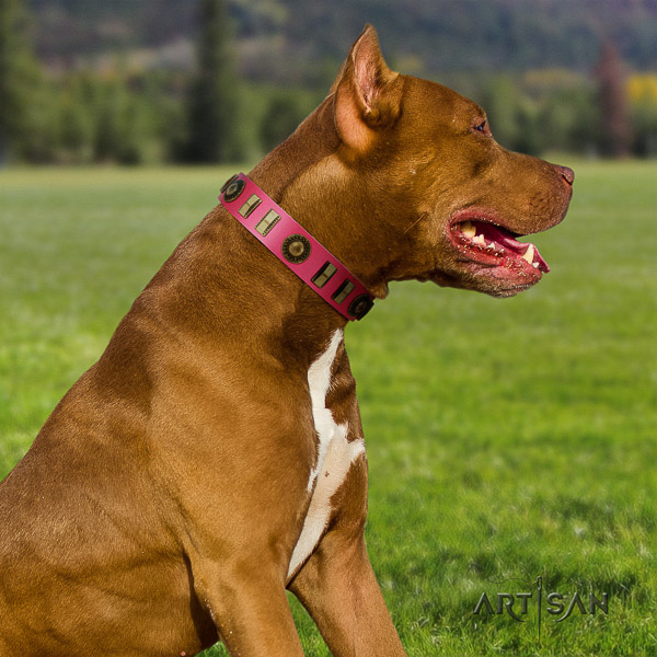 Pitbull easy wearing leather collar for your lovely doggie