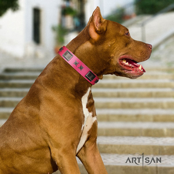 Pitbull comfortable natural genuine leather dog collar with incredible studs