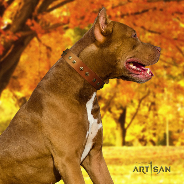Pitbull top quality natural genuine leather dog collar with unique adornments