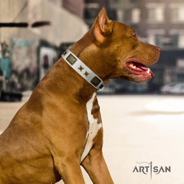 Pitbull easy adjustable natural genuine leather dog collar with incredible adornments