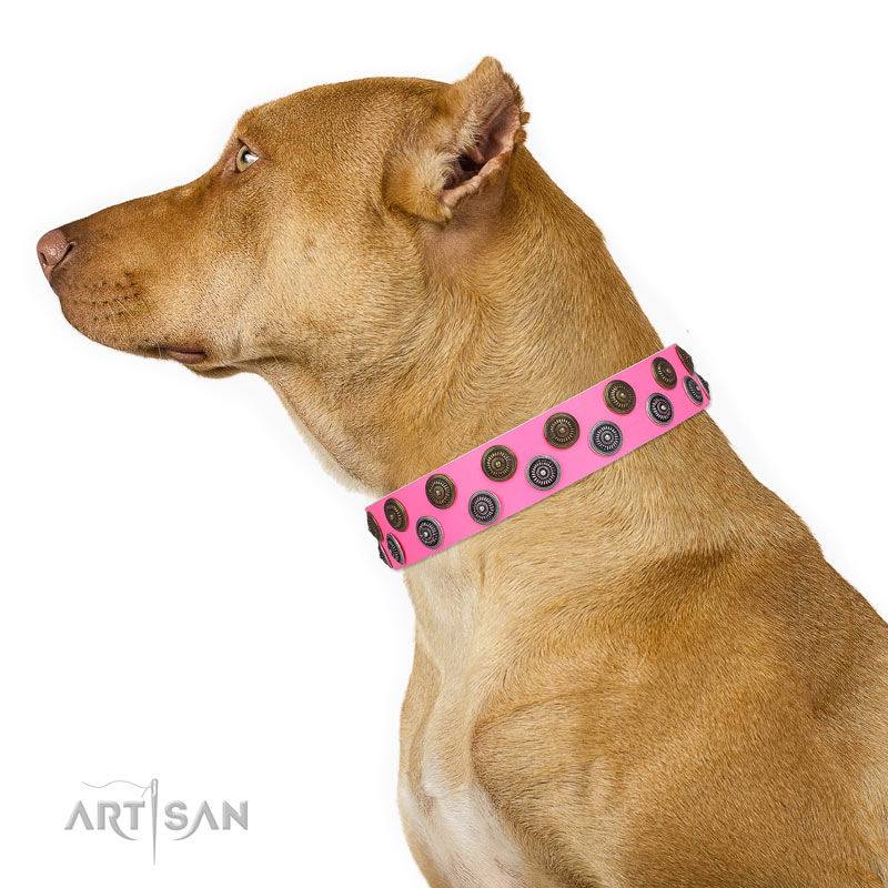 dog collars for female pitbulls