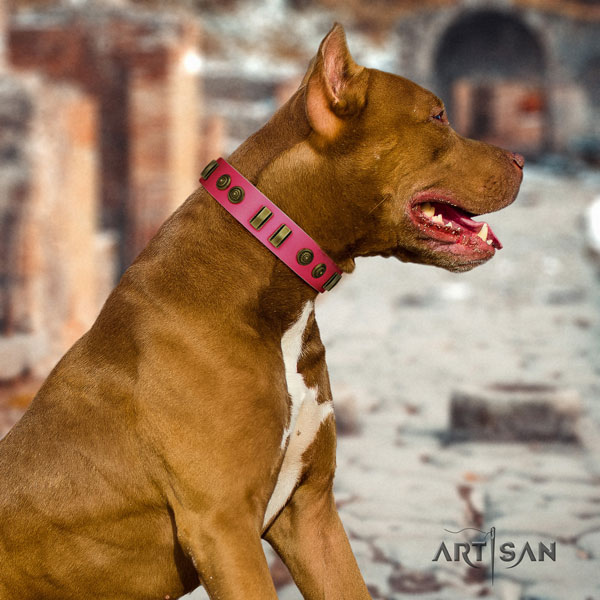 Pitbull top quality full grain genuine leather dog collar with unique studs