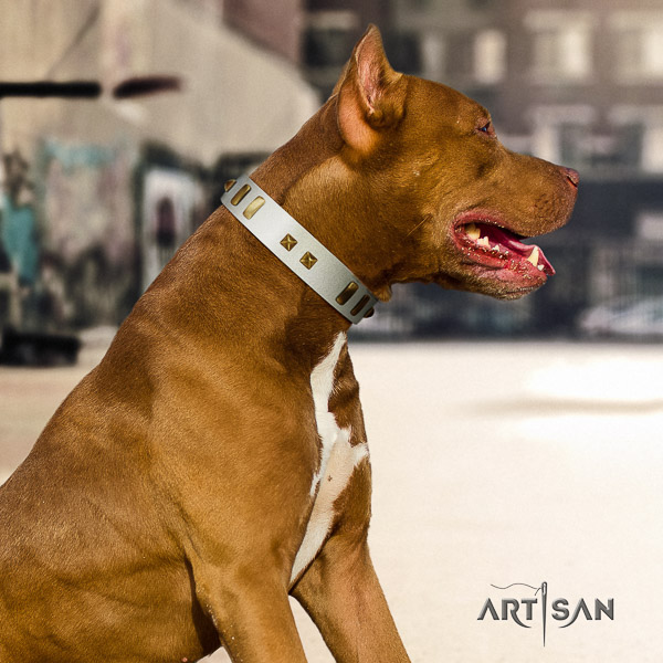Pitbull daily walking leather collar for your lovely dog
