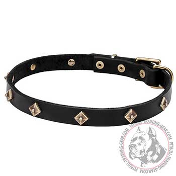Leather Dog Collar, 3/4 inch leather strap