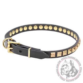 Pit Bull Dog Collar with Rustproof Brass Hardware